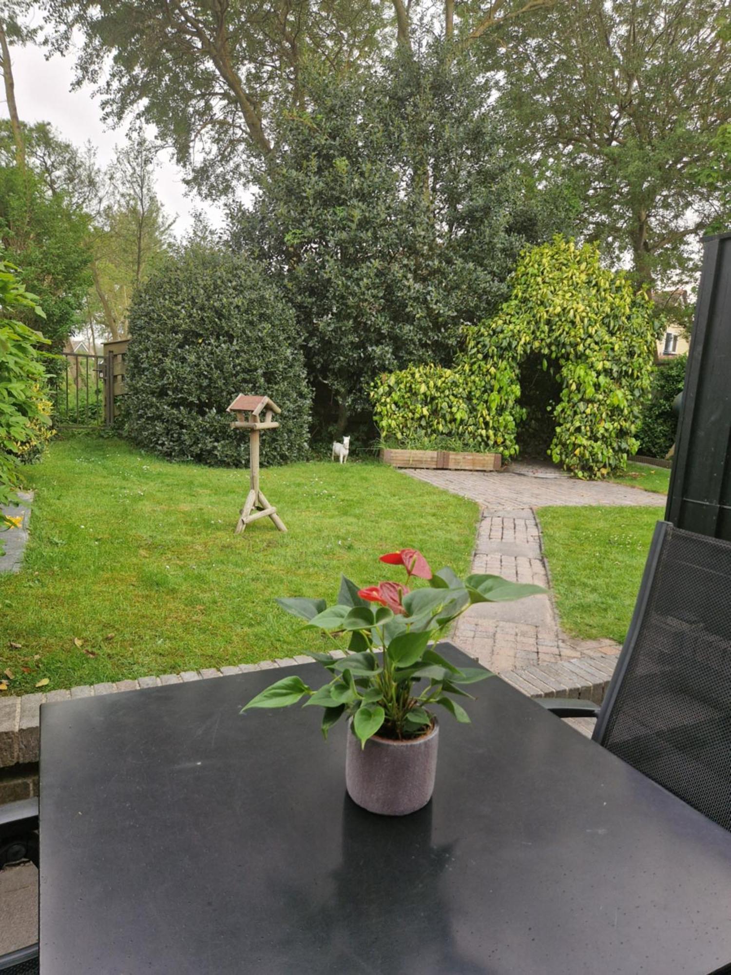 Zeelucht Texel Villa De Koog  Exterior photo