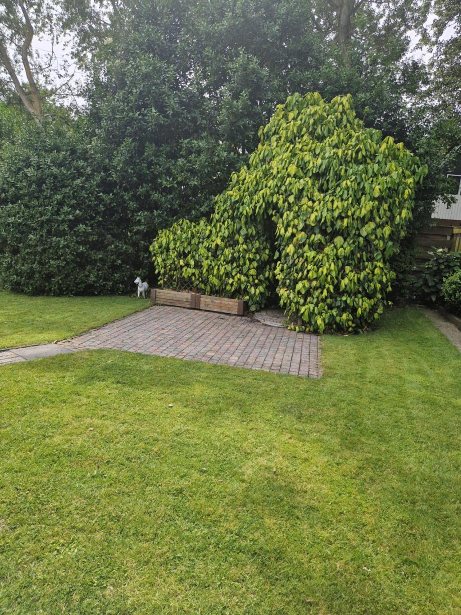 Zeelucht Texel Villa De Koog  Exterior photo